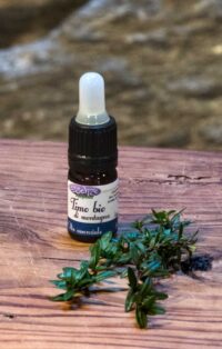 Essential oil of  the pure mountain thyme