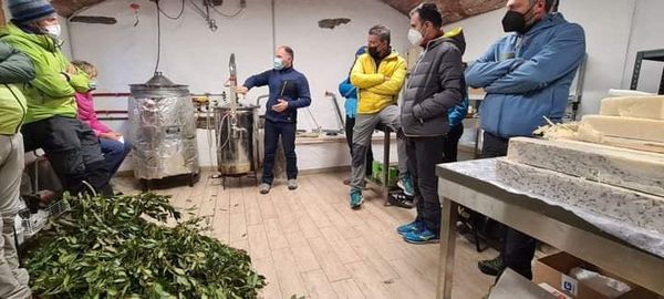 visita